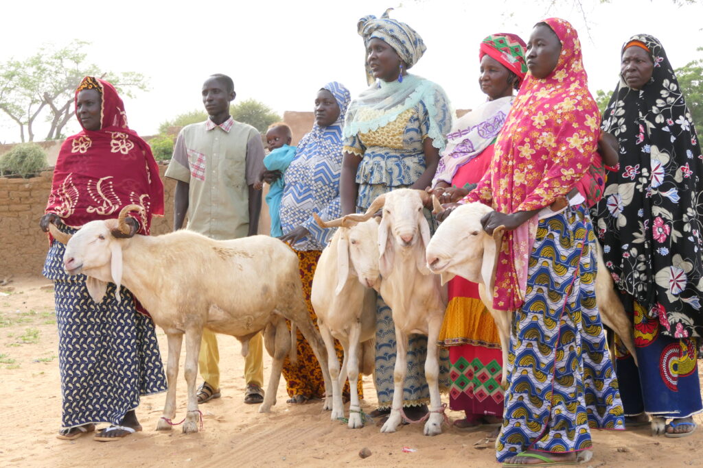 SOUTIEN À DES UNITÉS ÉCONOMIQUES DE FEMMES ET DE JEUNES