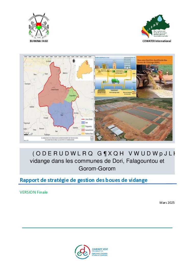 thumbnail of BFA103_ Rapport stratégie GBV_VFinal