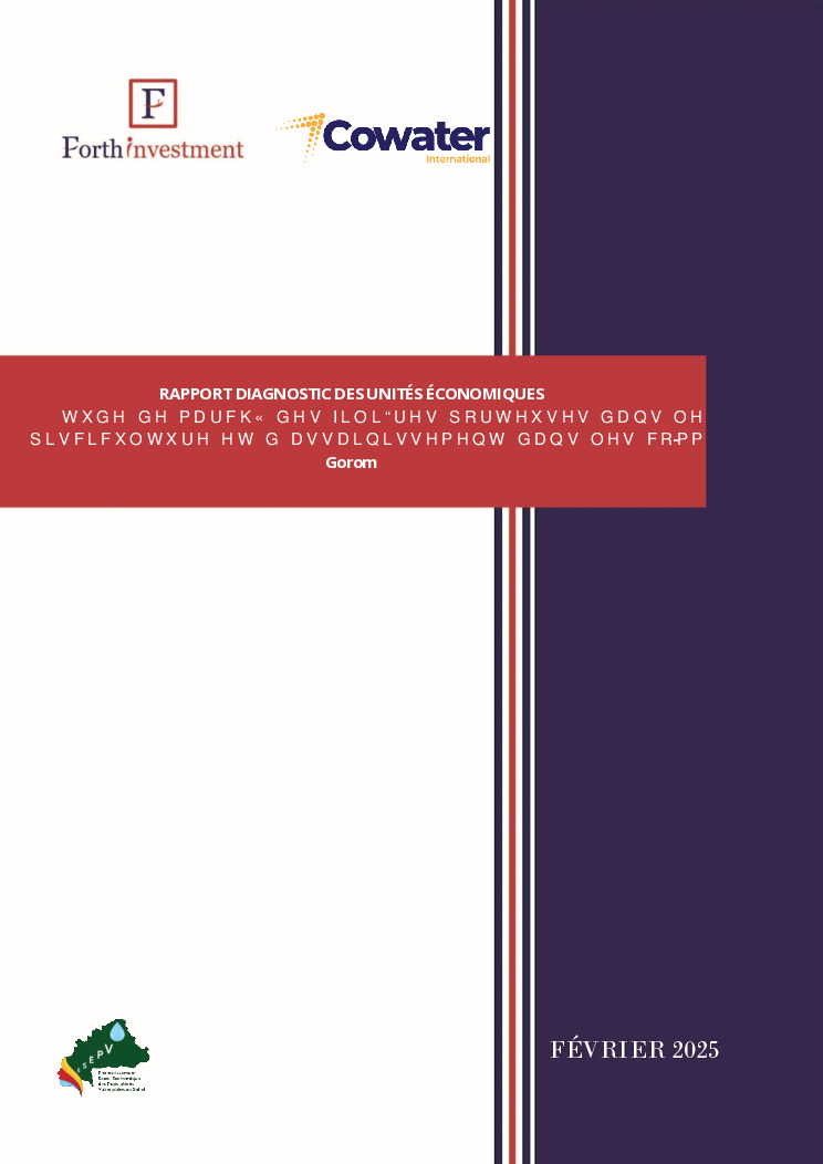 thumbnail of Rapport_diagnostic_Unités économiques